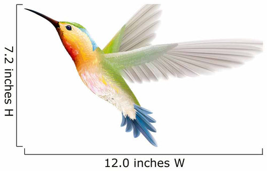 Hummingbird on a White Background Wall Decal