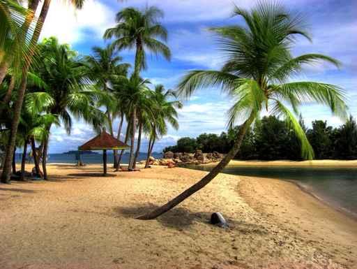 Sentosa Island Singapore Wall Decal