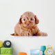 Puppy Decorative Doggie White Wall Decal