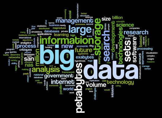 Big data concept in word cloud Wall Mural