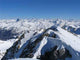 Summit Bisaurin Wall Decal