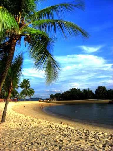 Singapur Sentosa Island Siloso Wall Decal Design 2