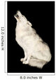 Wolf Howling Isolated Over Black Wall Mural