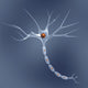 Neuron Wall Mural