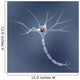 Neuron Wall Mural
