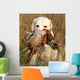 Portrait of Yellow Labrador With Pheasant 