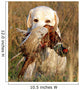 Portrait of Yellow Labrador With Pheasant 