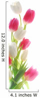 white and red tulips against white background 