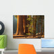 Three Majestic Sequoias Standing Wall Decal