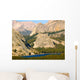 Sheer Cliffs above Tenaya Wall Decal