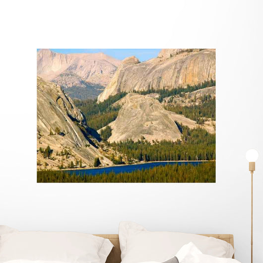 Sheer Cliffs above Tenaya Wall Decal