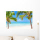 Tropical beach with coconut palms and transparent waters 