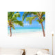 Tropical beach with coconut palms and transparent waters 