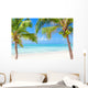 Tropical beach with coconut palms and transparent waters 
