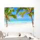 Tropical beach with coconut palms and transparent waters 