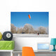 Snowkiting - Snow Kite Wall Mural