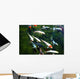 koi fish pond Wall Mural