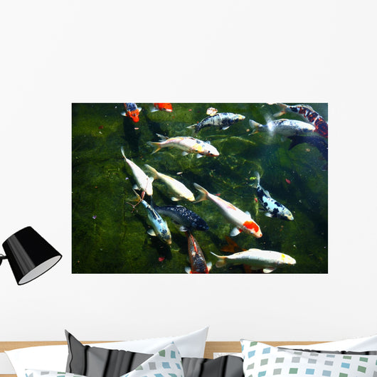 koi fish pond Wall Mural