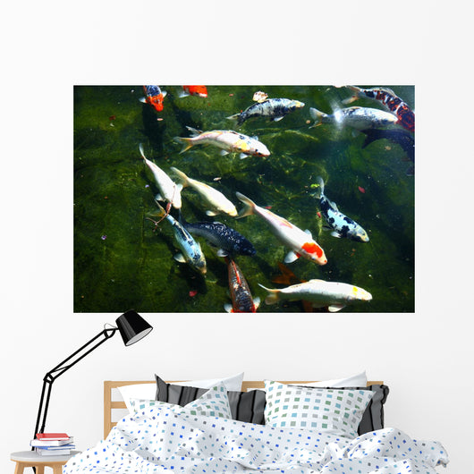koi fish pond Wall Mural