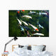 koi fish pond Wall Mural