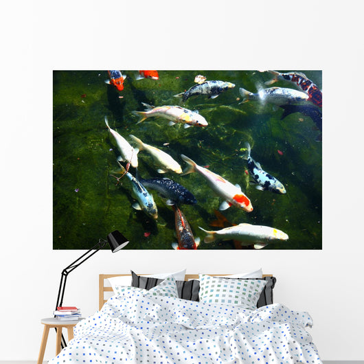 koi fish pond Wall Mural