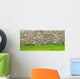 Real Stone Wall Surface 