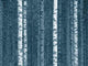Log Birch Finnish Forest Wall Decal