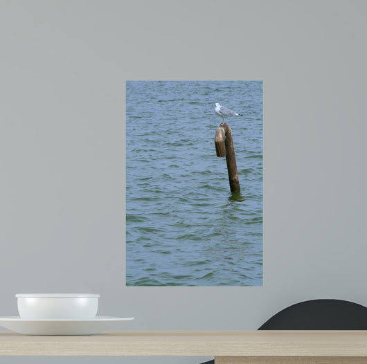 A Tern Standing on a Metal Pole 