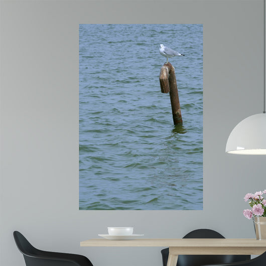 A Tern Standing on a Metal Pole 