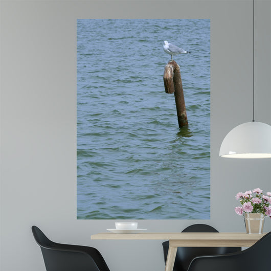 A Tern Standing on a Metal Pole 