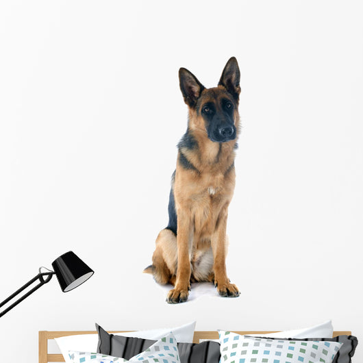 German Shepherd Wall Decal