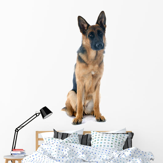 German Shepherd Wall Decal