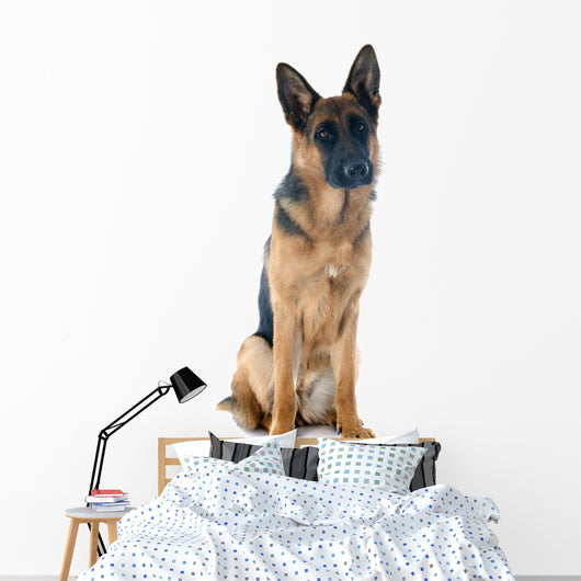 German Shepherd Wall Decal