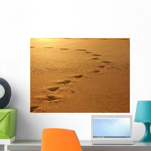Early Morning Wall Decal