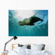 Sea Lion Underwater Looking at You 