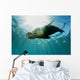 Sea Lion Underwater Looking at You 