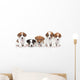 Jack Russel terrier puppies. Group portrait 