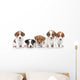 Jack Russel terrier puppies. Group portrait 