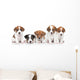 Jack Russel terrier puppies. Group portrait 