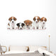 Jack Russel terrier puppies. Group portrait 