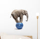 African Elephant on a Blue Ball Wall Decal