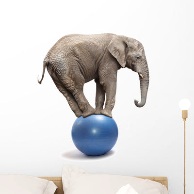 Balanced African Elephant Wall Decal shown on a wall