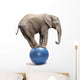 African Elephant on a Blue Ball Wall Decal