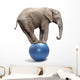 African Elephant on a Blue Ball Wall Decal