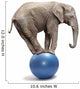 African Elephant on a Blue Ball Wall Decal