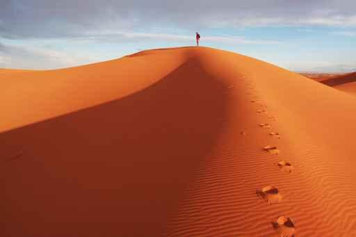Man Observer Sand Desert Wall Decal Design 1