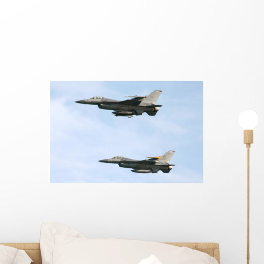 F 16 Wall Mural