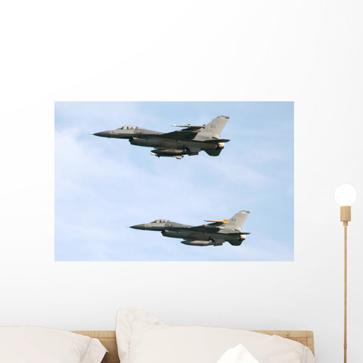 F 16 Wall Mural