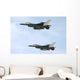 F 16 Wall Mural