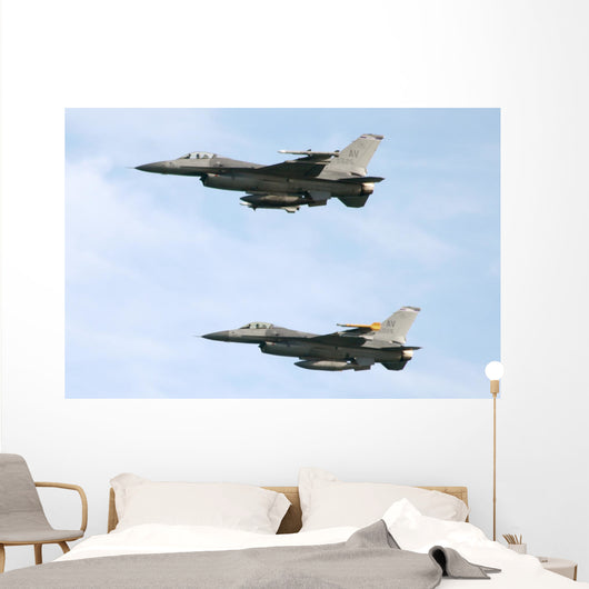 F 16 Wall Mural